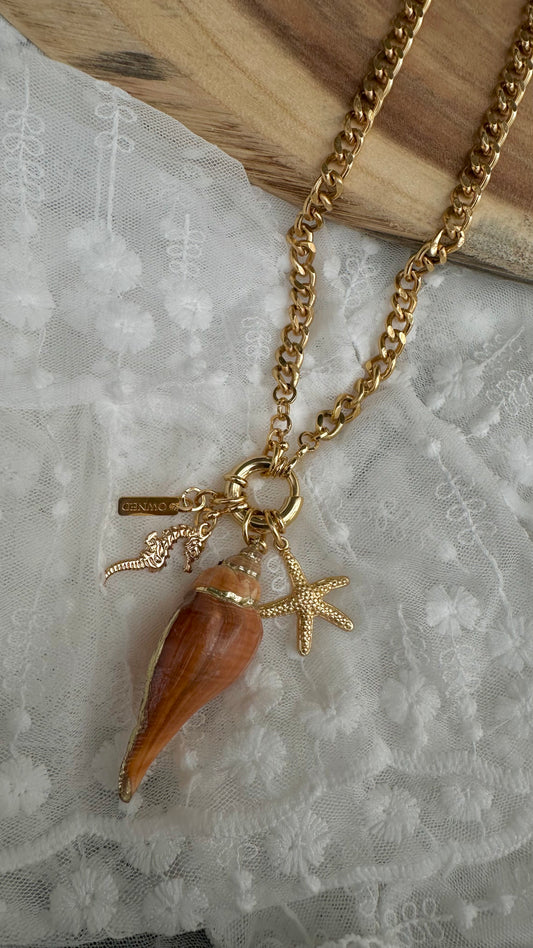 שרשרת MANTA RAY